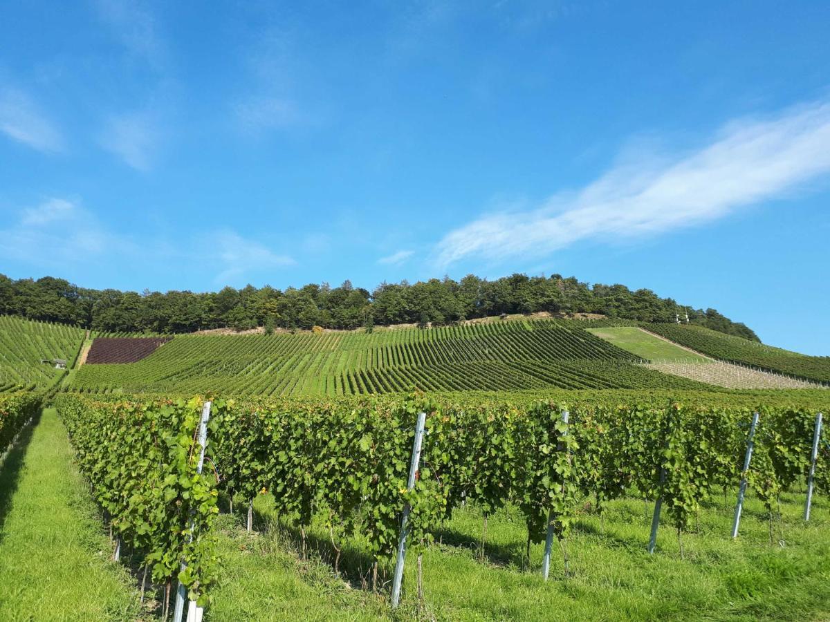 Weinlodge Am Geissberg 에버스타트 외부 사진